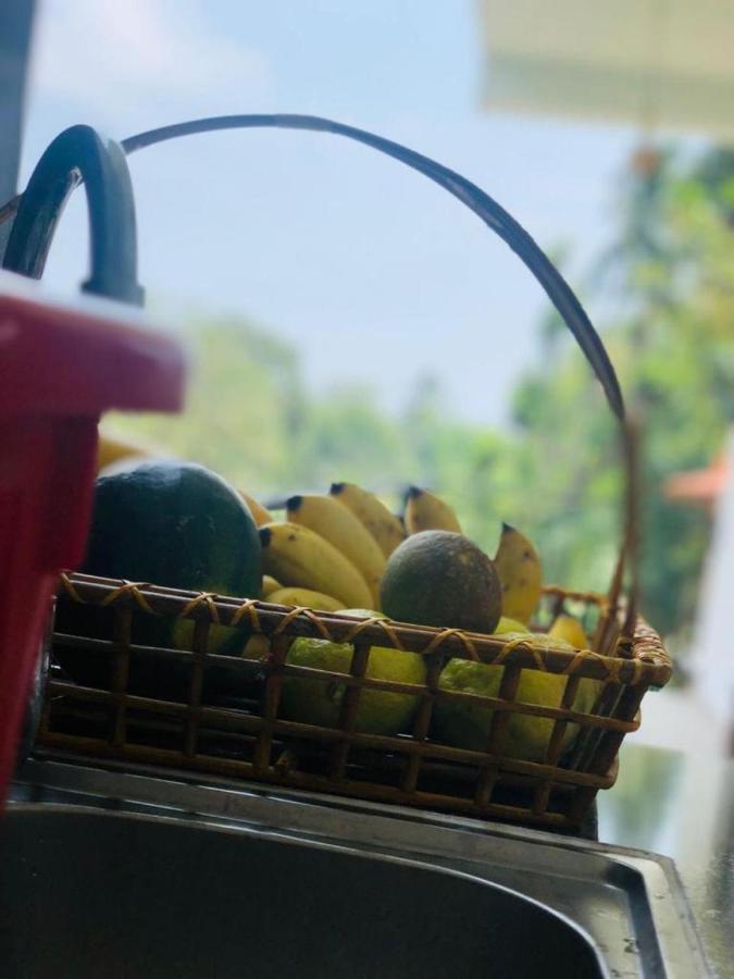 Finch Tangalle Buitenkant foto