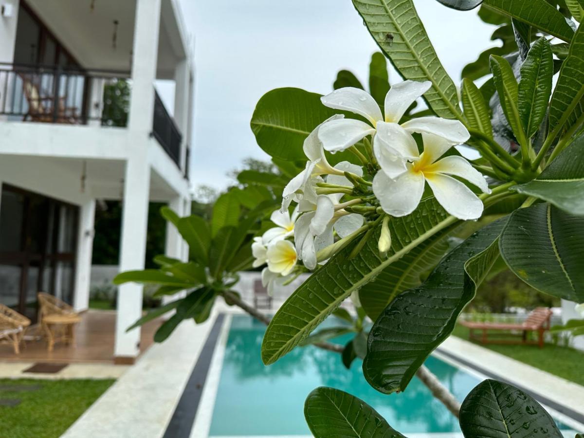 Finch Tangalle Buitenkant foto